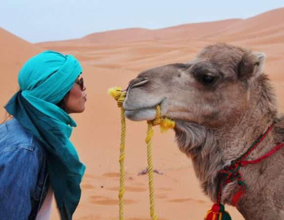 8 Days Luxury Sahara Desert Tour from Marrakech​