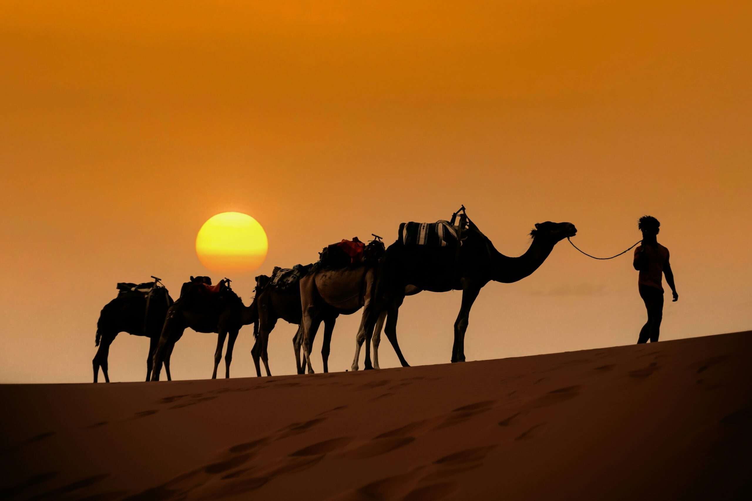 5-Day Marrakech to Erg Chegaga Desert Adventure Round-Trip