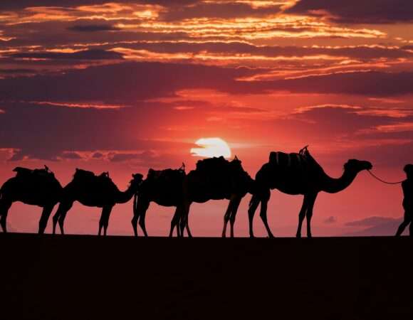 5-Day Marrakech to Erg Chegaga Desert Adventure Round-Trip