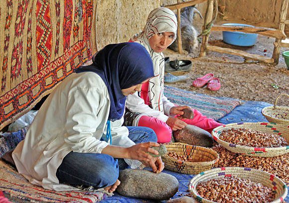 Affordable 1 Day Trip to The Atlas Mountains from Marrakech​