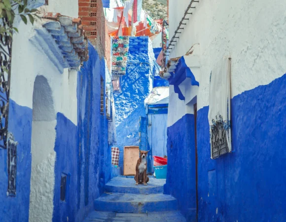Magical 4 Days Chefchaouen Tour from Marrakech