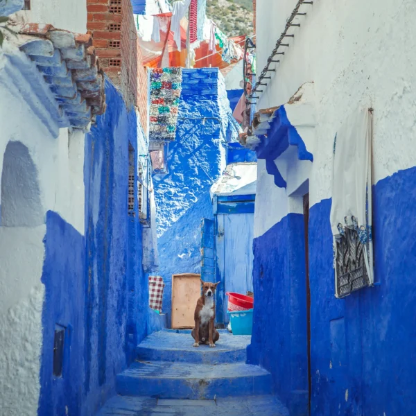 Magical 4 Days Chefchaouen Tour from Marrakech
