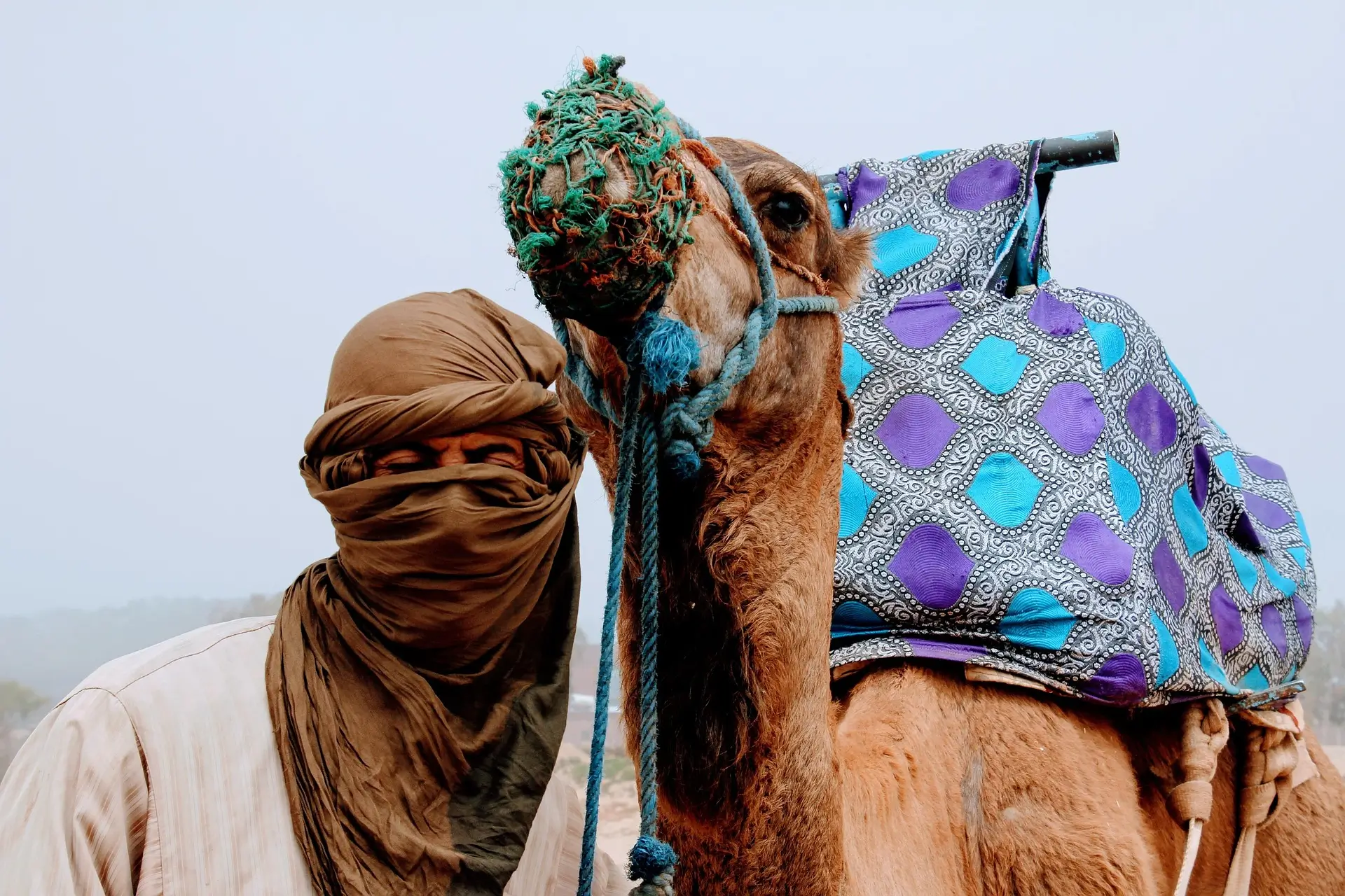 Alluring 10-Day Morocco Trip from Casablanca – Desert and Coast Adventure of a Lifetime