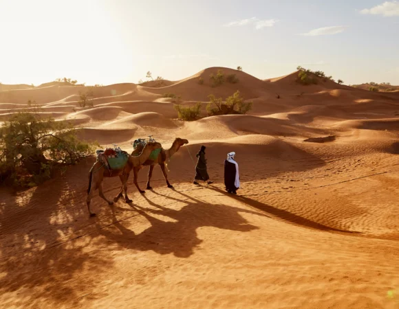 Amazing 2 Days Desert Tour from Marrakech to Zagora