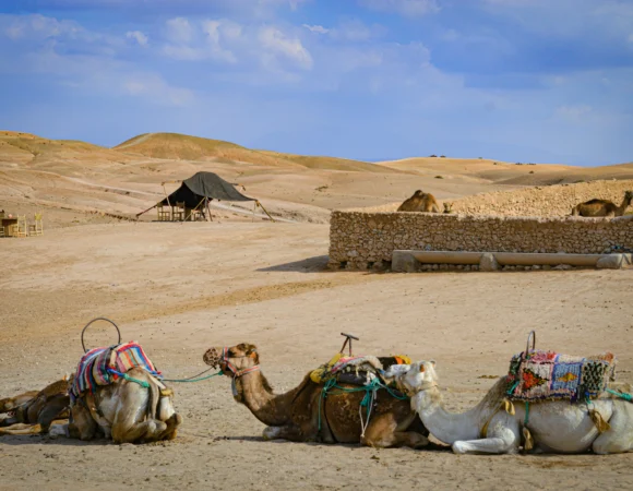 Unforgettable Agafay Desert Morocco Day Trip from Marrakech