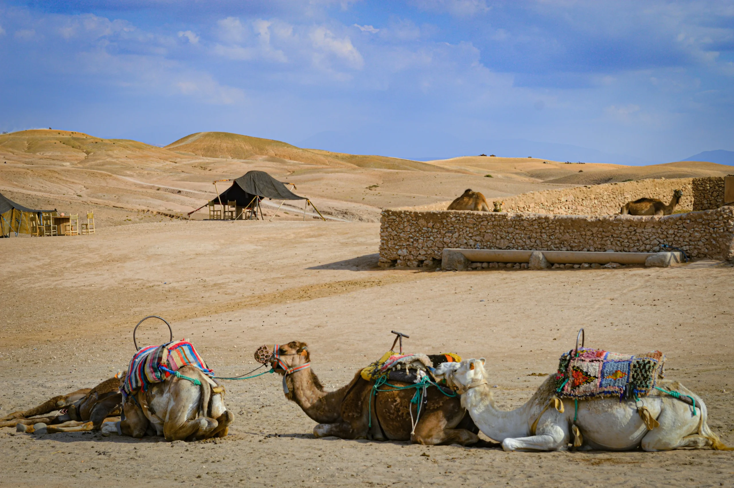 Unforgettable Agafay Desert Morocco Day Trip from Marrakech