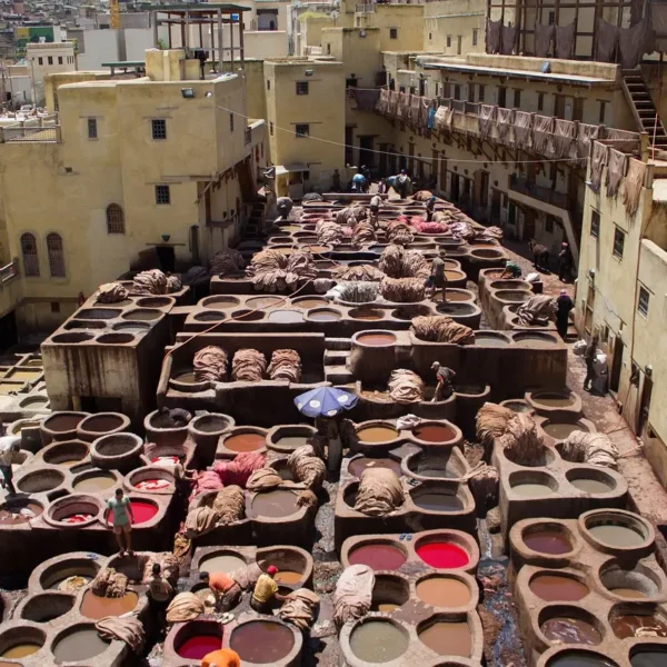 fes