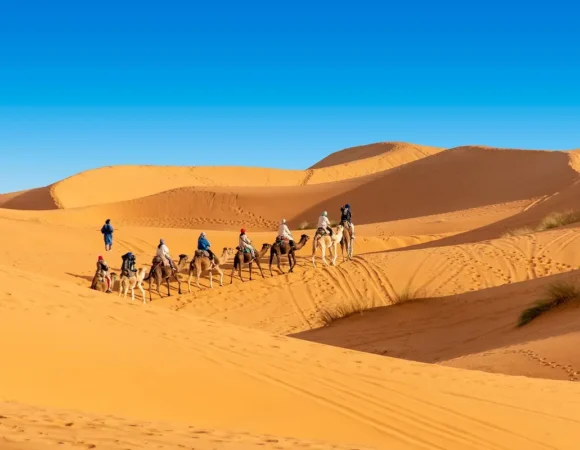 Incredible 4 Day Fes to Marrakech Desert Tour You Must Try