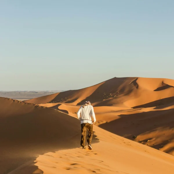 anton-jauregui-ZBIxdppgsRE-unsplash