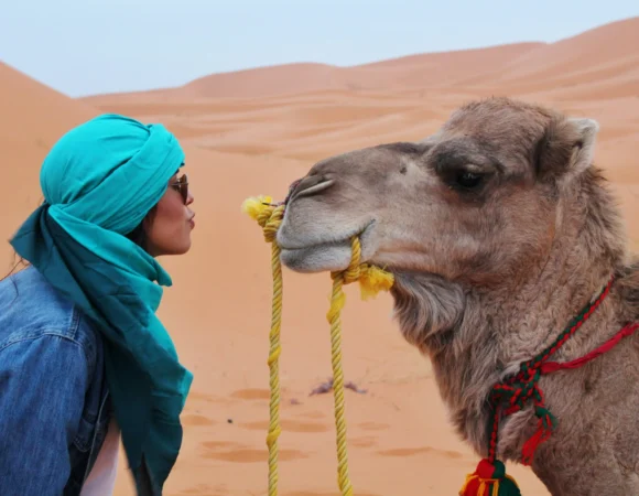 Embrace 10 Day Morocco Itinerary from Tangier Filled with Magical Moments
