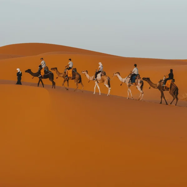 Authentic Morocco Travel Itinerary from Fes with Desert Magic