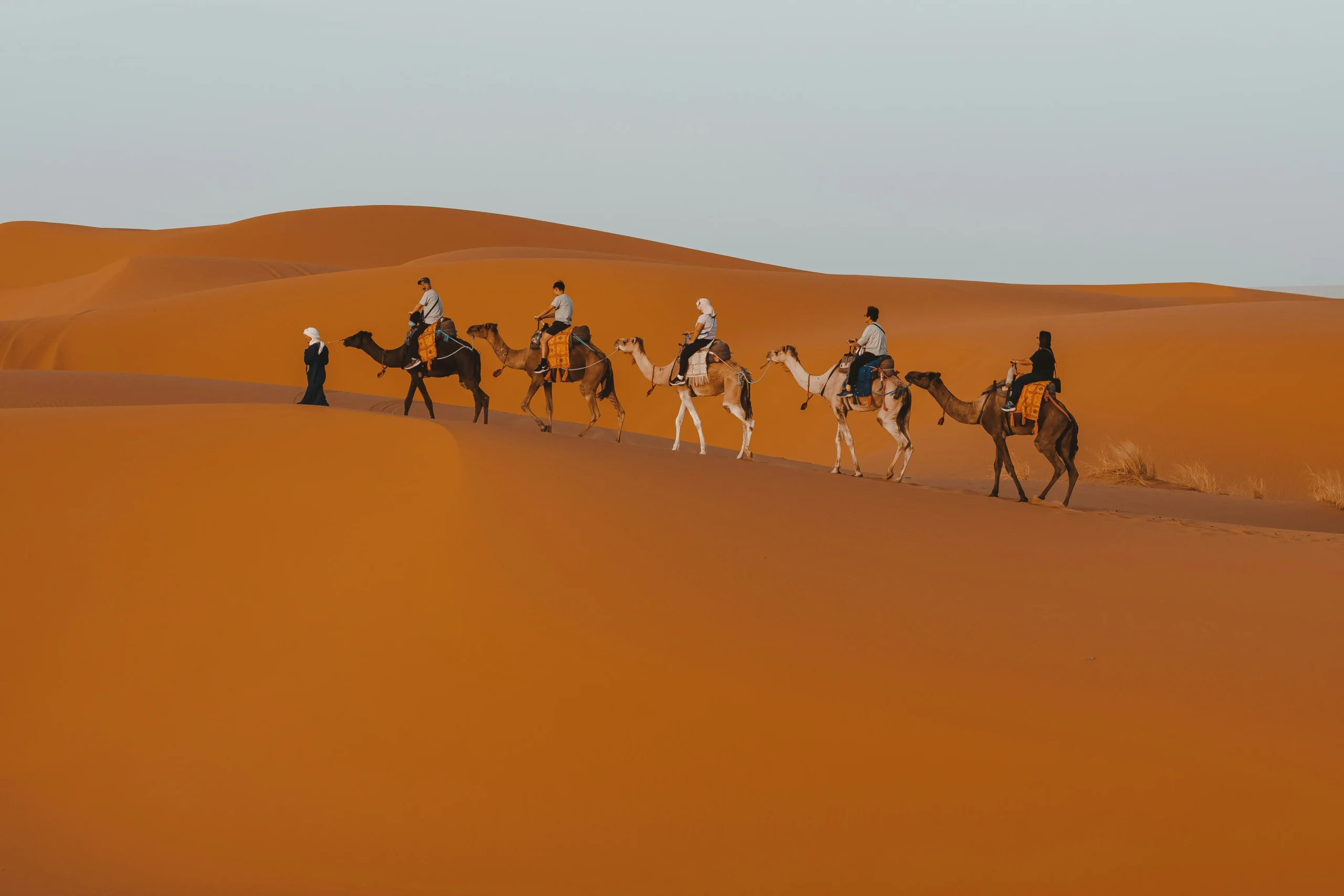 Authentic Morocco Travel Itinerary from Fes with Desert Magic