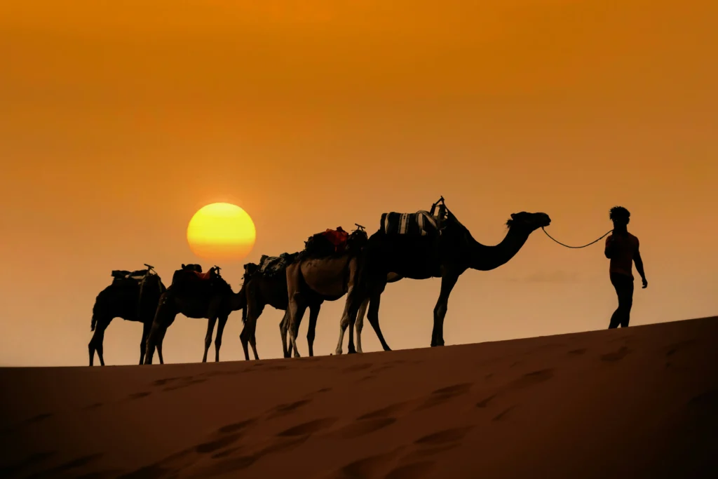 Camel riders at sunrise in the Sahara Desert near Merzouga