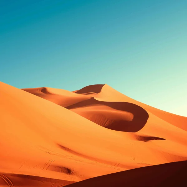 4 Days Tour from Fes to Marrakech Sahara Escape