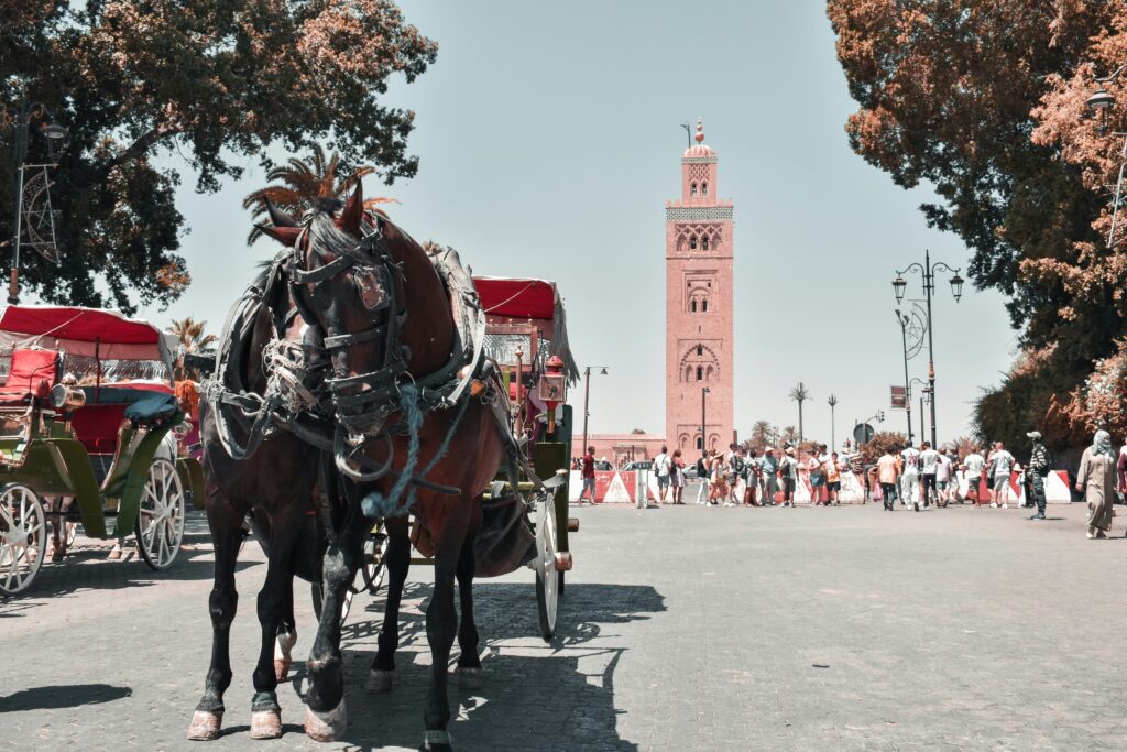 Historic cultural activities Morocco Marrakech souks traditional markets