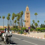 Activities to do in Morocco Marrakech featuring Jemaa el-Fnaa square at sunset