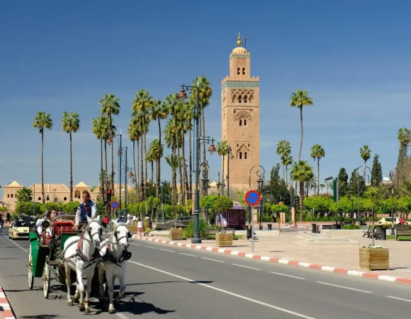 Extraordinary Activities to Do in Morocco Marrakech: Your Complete Adventure Guide