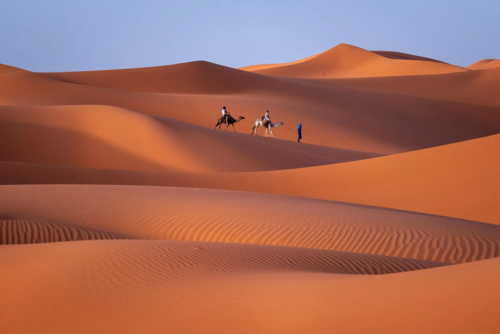 Desert Tours