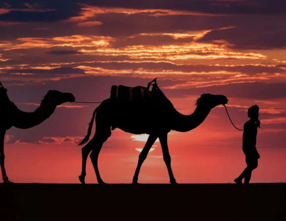 Timeless Marrakech to Fes Tour with Sahara Wonders