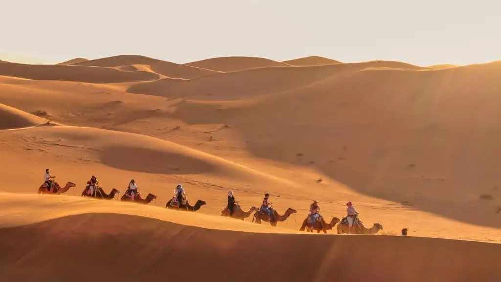 Morocco Desert Tours