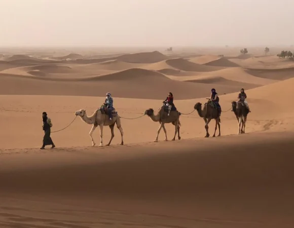 Breathtaking 8 Days Camel Trekking Morocco with Nomadic Guides