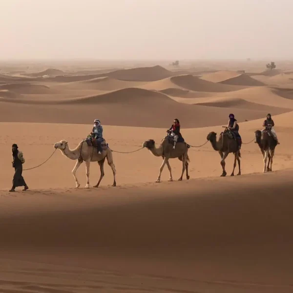 Breathtaking 8 Days Camel Trekking Morocco with Nomadic Guides