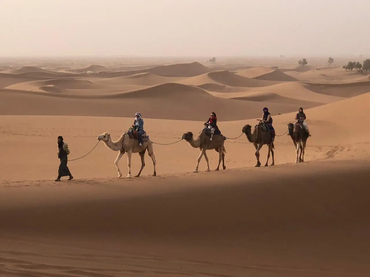 Breathtaking 8 Days Camel Trekking Morocco with Nomadic Guides