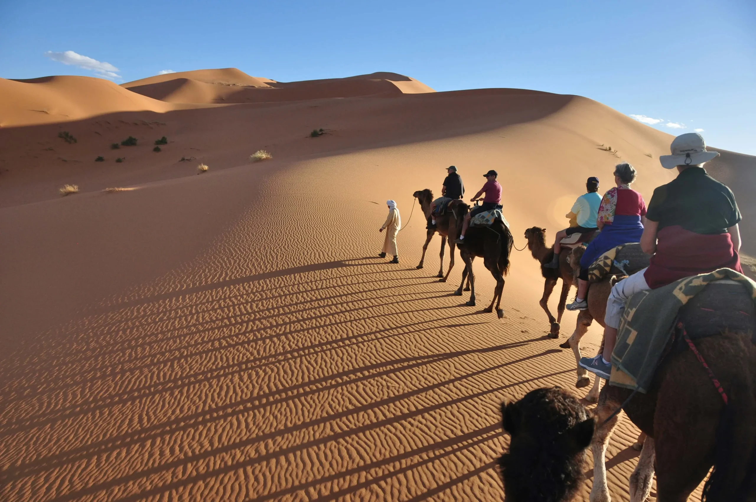 camel trekking morocco in Sahara desert